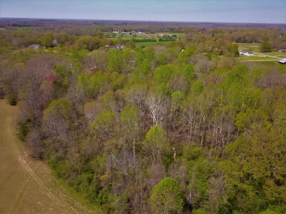 3186 Greenpond Road Gray Court, SC 29645 - Photo 12 of 34