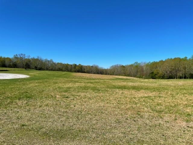 3186 Greenpond Road Gray Court, SC 29645 - Photo 19 of 34