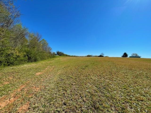 3186 Greenpond Road Gray Court, SC 29645 - Photo 21 of 34