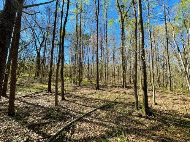 3186 Greenpond Road Gray Court, SC 29645 - Photo 24 of 34
