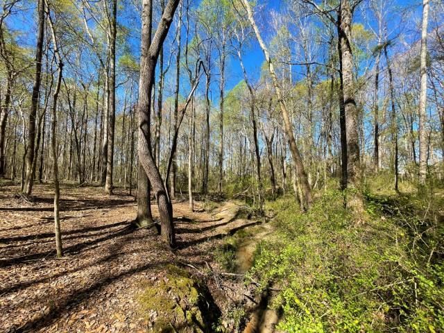 3186 Greenpond Road Gray Court, SC 29645 - Photo 25 of 34