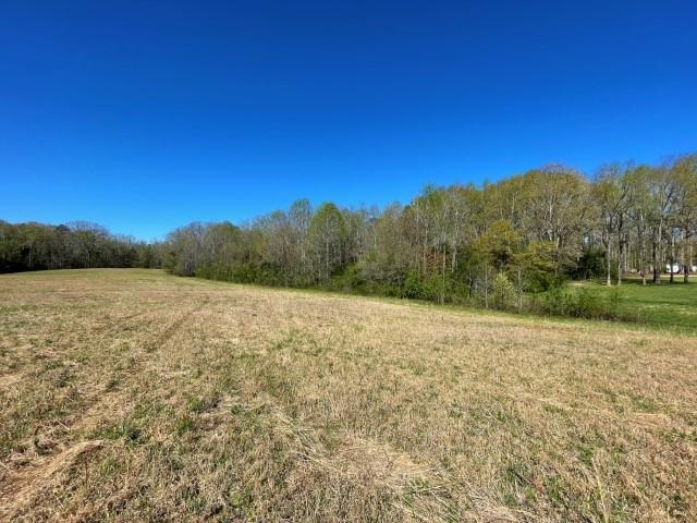 3186 Greenpond Road Gray Court, SC 29645 - Photo 26 of 34