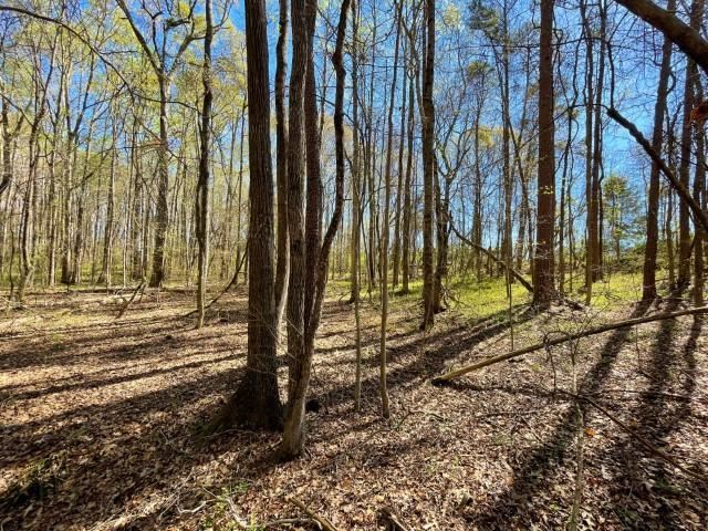 3186 Greenpond Road Gray Court, SC 29645 - Photo 28 of 34