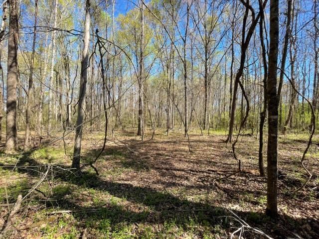 3186 Greenpond Road Gray Court, SC 29645 - Photo 29 of 34