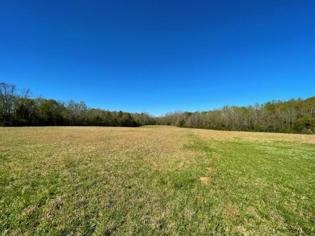 3186 Greenpond Road Gray Court, SC 29645 - Photo 6 of 34