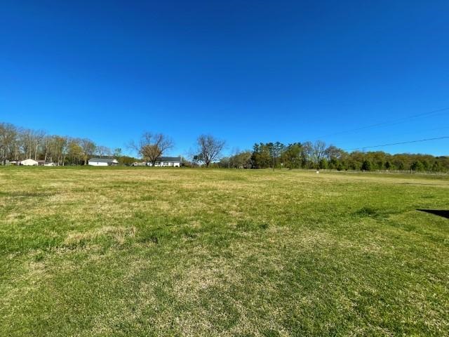 3186 Greenpond Road Gray Court, SC 29645 - Photo 8 of 34