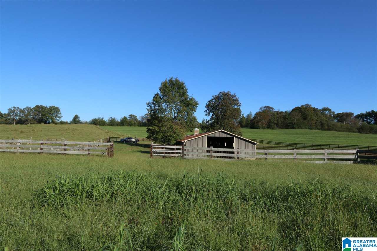 936 Daileys Chapel Road Oneonta, AL 35121 - Photo 23 of 36