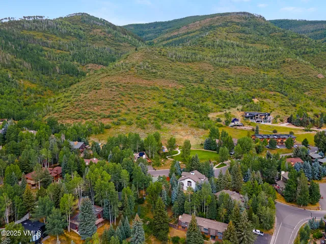 a view of a city with lush green forest