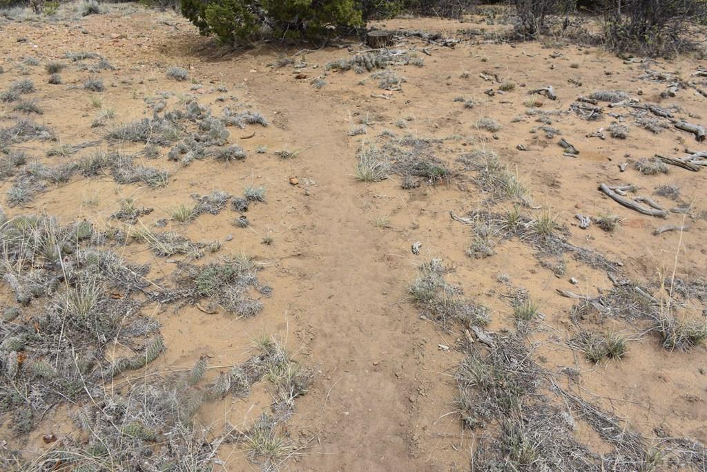 87-119 Twin Lakes Road Walsenburg, CO 81089 - Photo 11 of 21