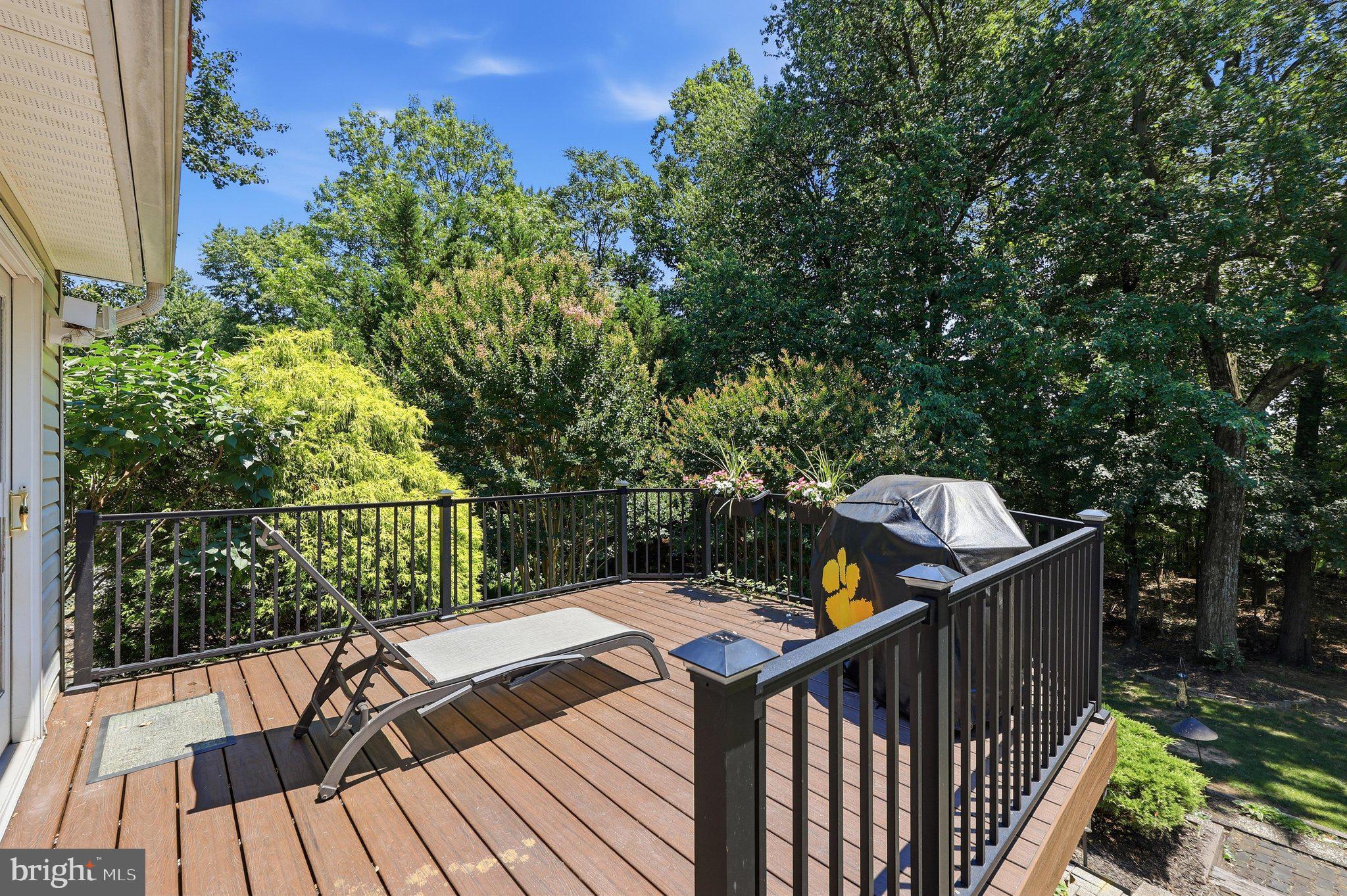6154 Downs Ridge Court Elkridge, MD 21075 - Photo 18 of 58 deck