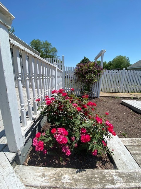 1165 Naylor Road Dixon, IL 61021 - Photo 20 of 34