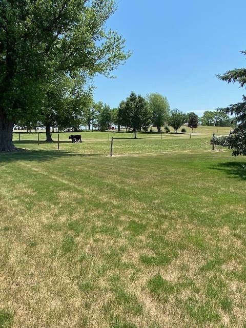 1165 Naylor Road Dixon, IL 61021 - Photo 28 of 34