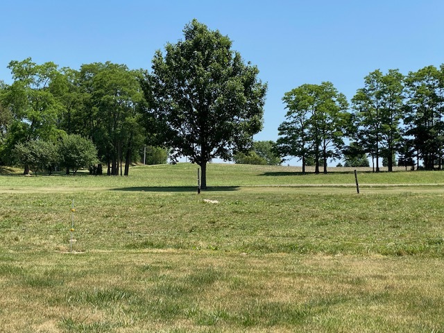 1165 Naylor Road Dixon, IL 61021 - Photo 30 of 34