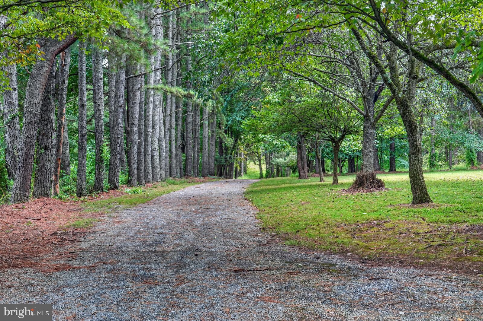 4915 Sundown Road Gaithersburg, MD 20882 - Photo 54 of 64 To see this property, follow the quiet driveway.