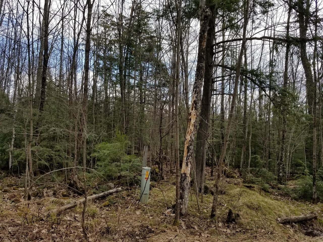 Lot 4 John Dul Road Mercer, WI 54547 - Photo 12 of 30 Gallery Image 12