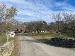 a view of a yard with large trees