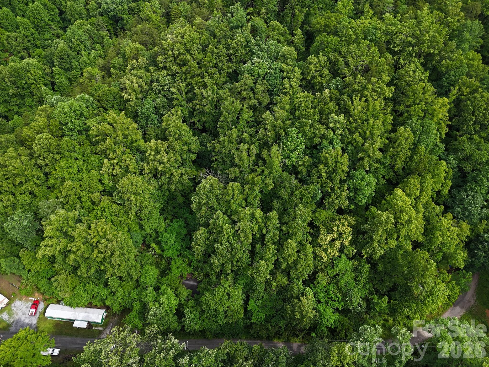 83 Shanty Town Road Old Fort, NC 28762 - Photo 6 of 16