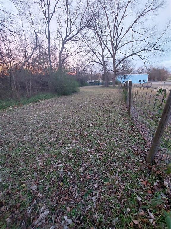 a view of yard with trees