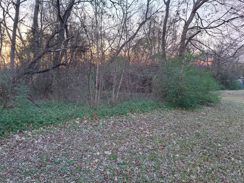 Tbd Jackson Street Commerce, TX 75428 - Photo 2 of 7 a view of a yard with plants and large trees