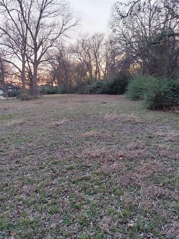 Tbd Jackson Street Commerce, TX 75428 - Photo 3 of 7 a view of an outdoor space and covered with green space