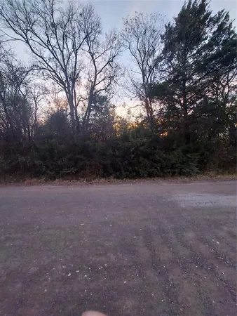 a view of a yard with a tree