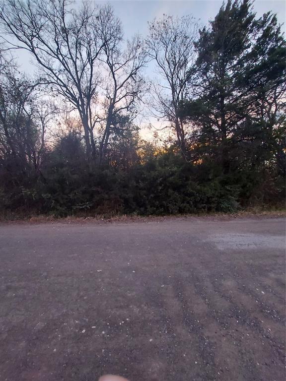 Tbd Jackson Street Commerce, TX 75428 - Photo 5 of 7