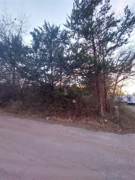 Tbd Jackson Street Commerce, TX 75428 - Photo 6 of 7 a view of a yard with a tree