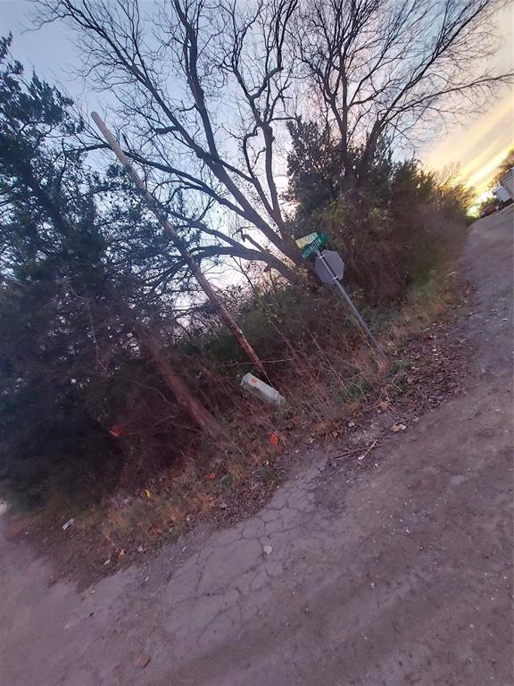 Tbd Jackson Street Commerce, TX 75428 - Photo 7 of 7 a view of forest