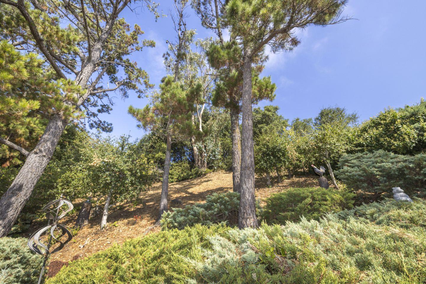 27975 Edgecliff Way Hayward, CA 94542 - Photo 46 of 58 a view of a yard with plants and a bench