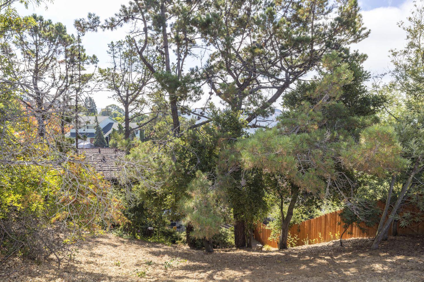 27975 Edgecliff Way Hayward, CA 94542 - Photo 47 of 58