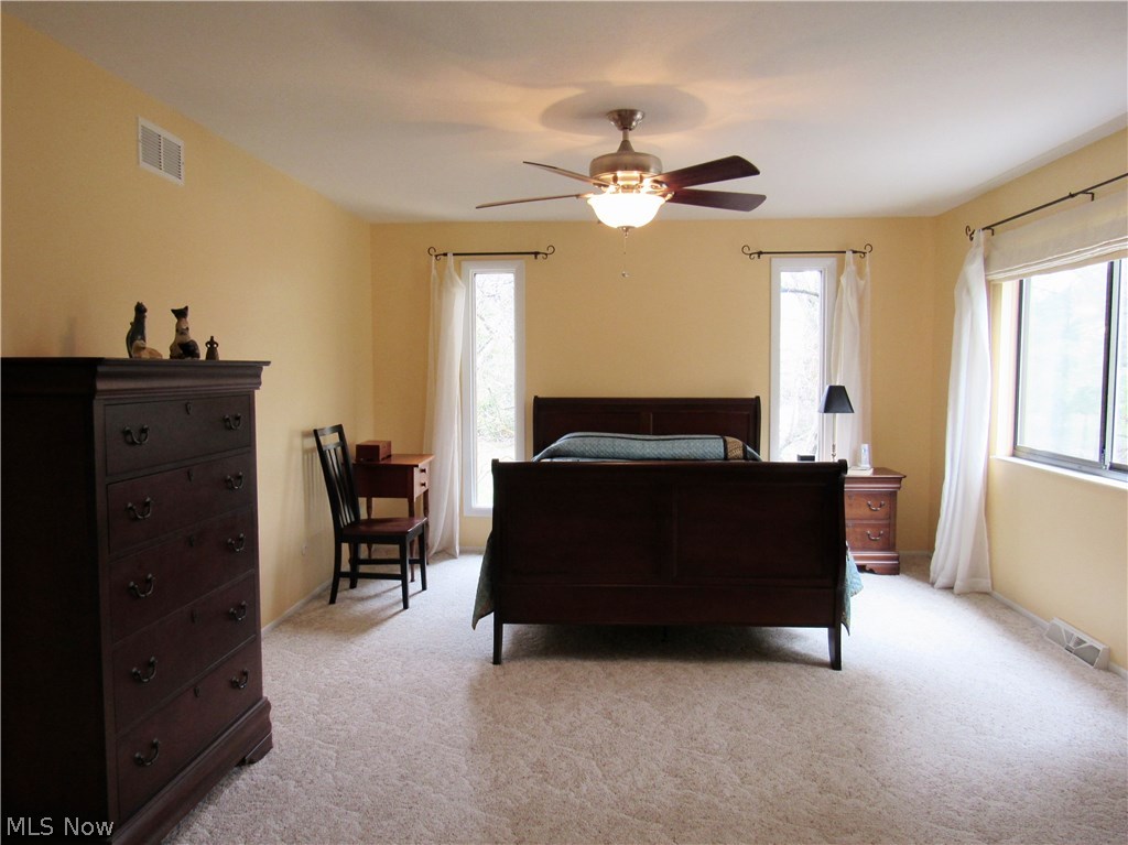 787 Hampton Ridge Drive Akron, OH 44313 - Photo 20 of 32 Nice size master with side windows to center the bed.