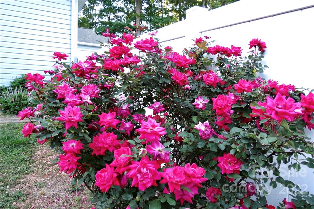 383 Maple Ridge Circle Salisbury, NC 28147 - Photo 34 of 36 a view of yard with flowers and flowers