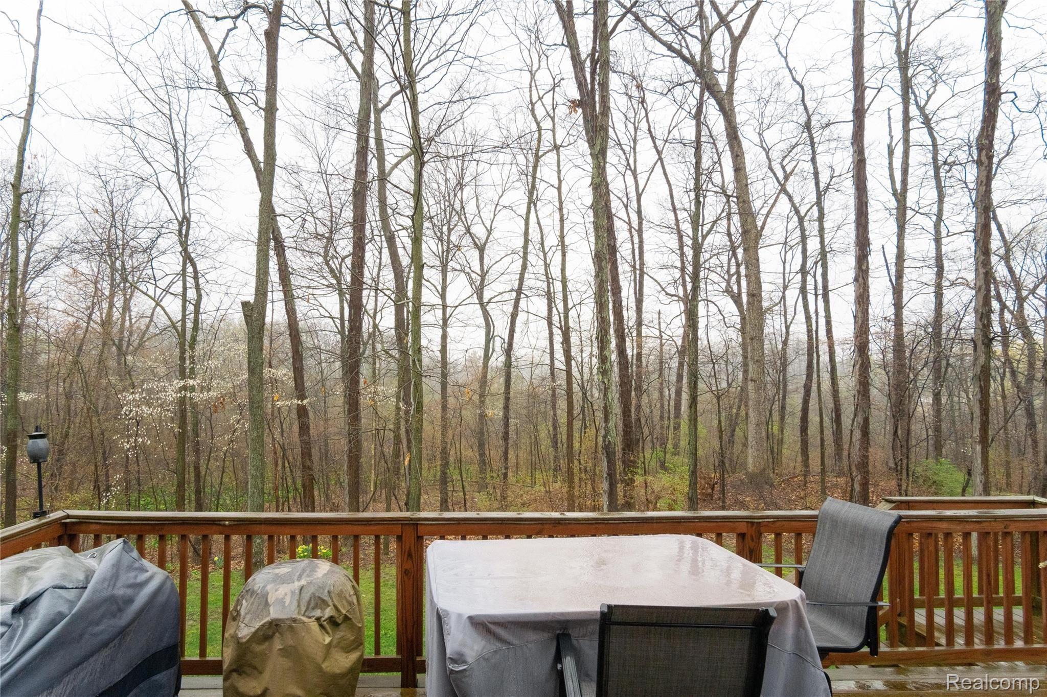 1377 Remsing Street Hartland, MI 48353 - Photo 26 of 27 Exteriors (12 of 13).jpg