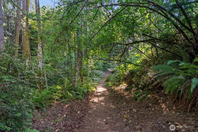 a big yard with lots of green space and deers
