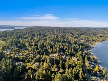 a view of backyard with large tree