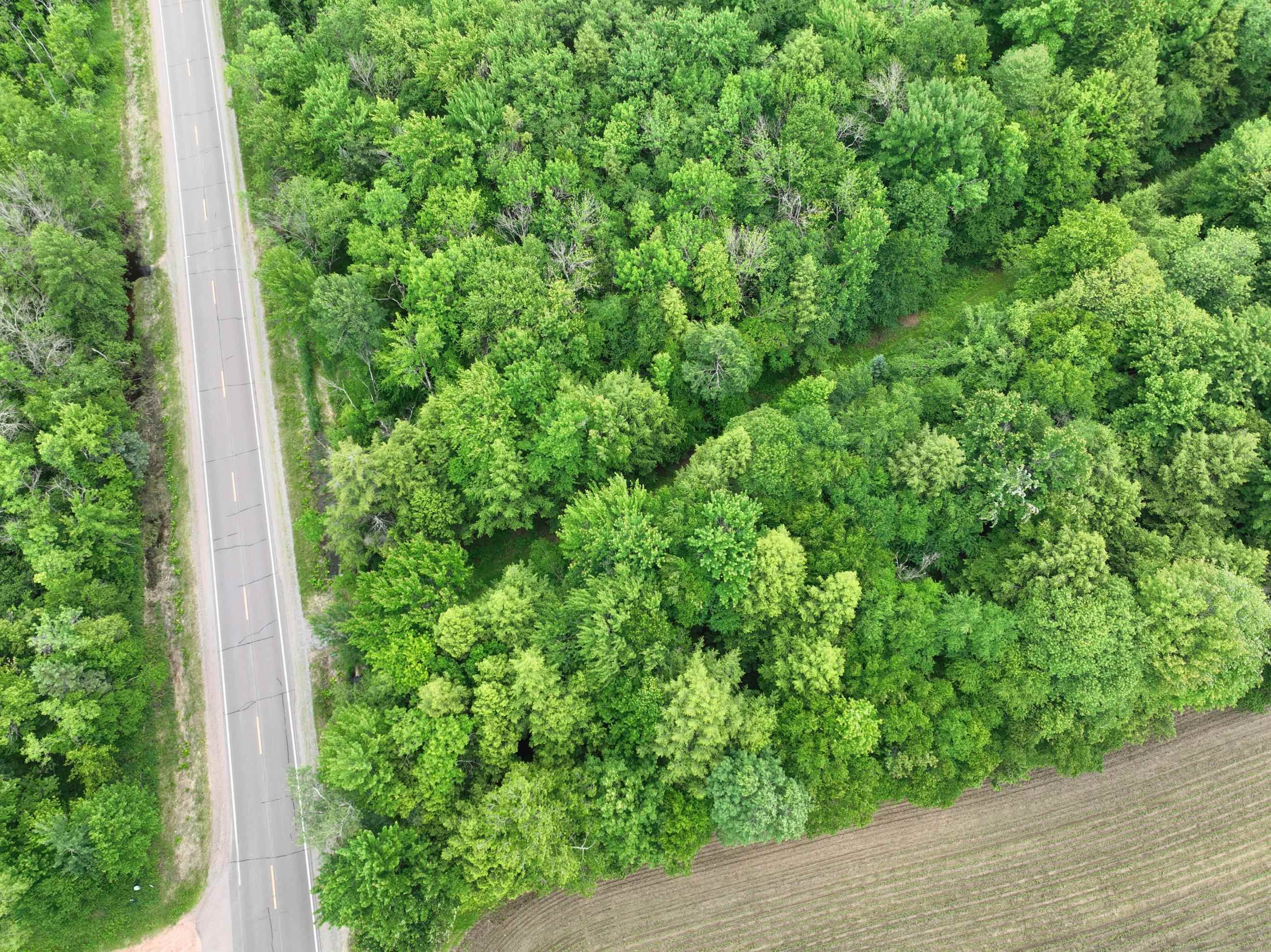 118.88-acres On County Rd O Wausau, WI 54401 - Photo 4 of 15