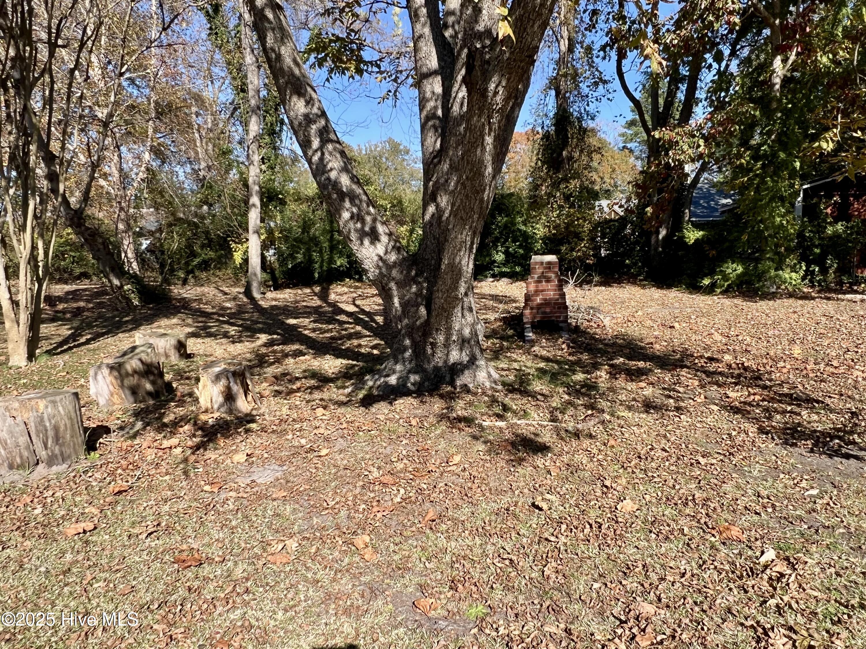 314 East 9th Street Washington, NC 27889 - Photo 43 of 43 IMG_9569