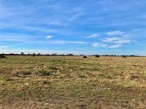 Lot 4 McDonald Road Eagle Lake, TX 77434 - Photo 3 of 7