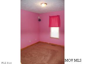 3167 Carpenter Run Road Waverly, WV 26184 - Photo 9 of 12