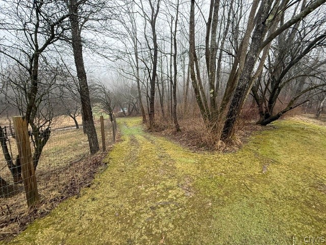 2723 Clute Road Virgil, NY 13045 - Photo 13 of 43 Wide open trails