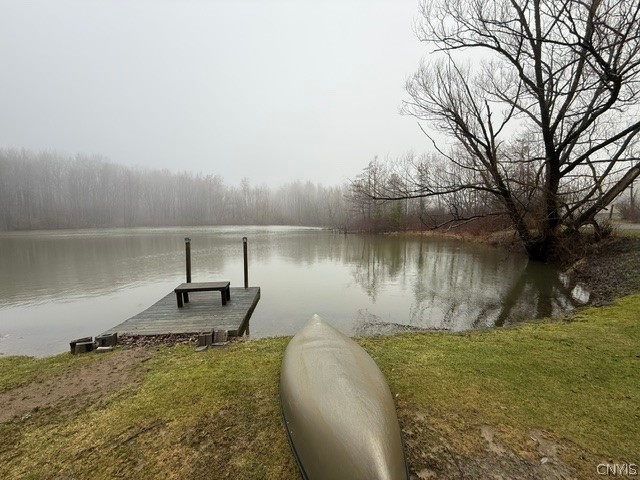 2723 Clute Road Virgil, NY 13045 - Photo 14 of 43 Stocked pond