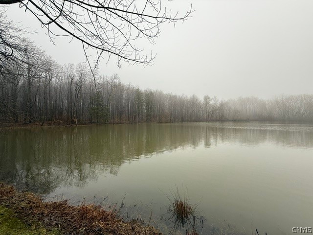 2723 Clute Road Virgil, NY 13045 - Photo 15 of 43 2-acre pond
