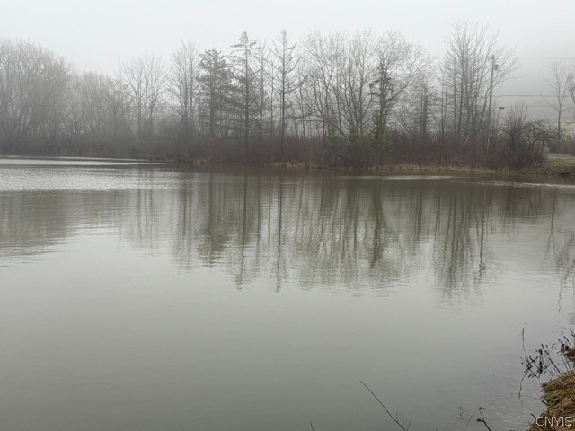 2723 Clute Road Virgil, NY 13045 - Photo 16 of 43