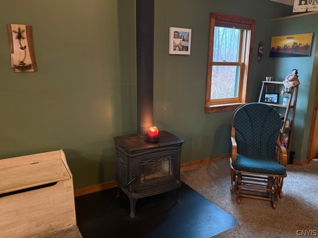 2723 Clute Road Virgil, NY 13045 - Photo 23 of 43 Nice wood stove