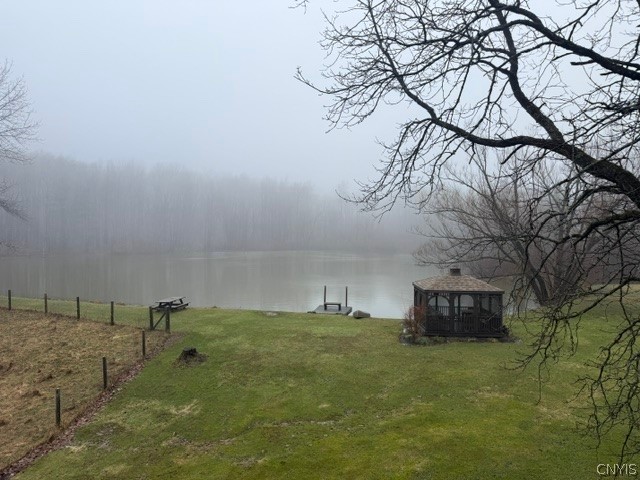 2723 Clute Road Virgil, NY 13045 - Photo 3 of 43 The house overlooks the pond