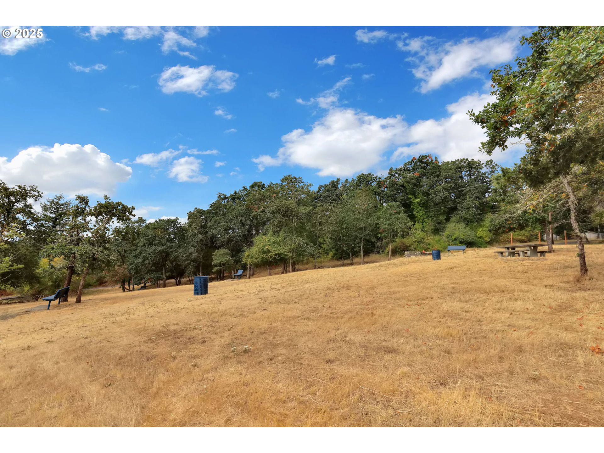 991 Main Street Monroe, OR 97456 - Photo 37 of 48 a view of outdoor space with a swimming pool