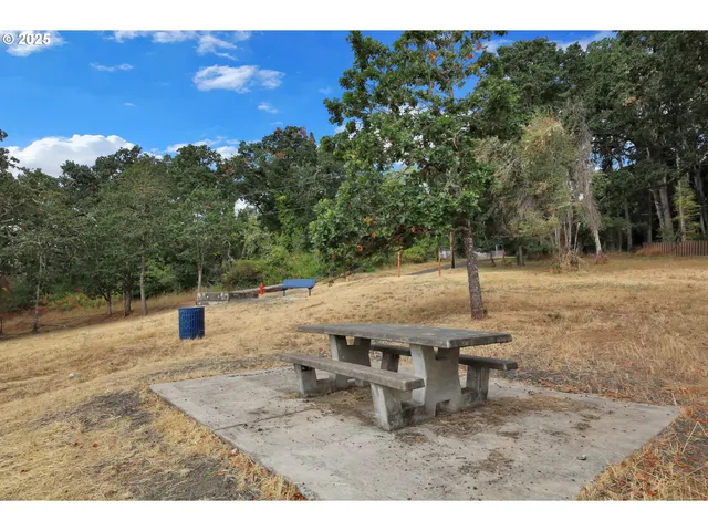 a view of outdoor space with swimming pool and trees