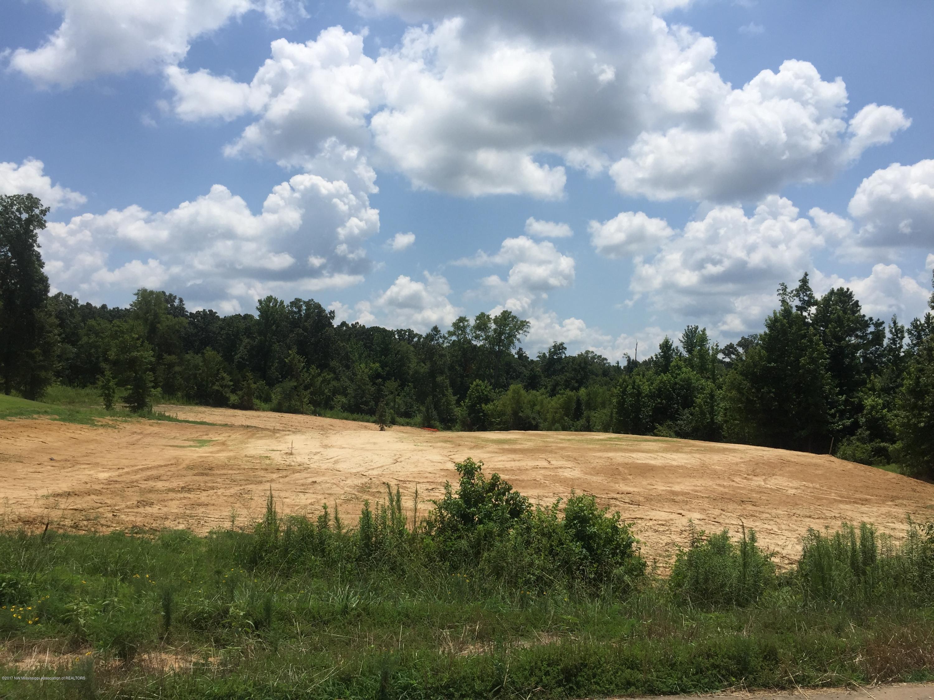 18 Lee Road Byhalia, MS 38611 - Photo 1 of 1 IMG_4601
