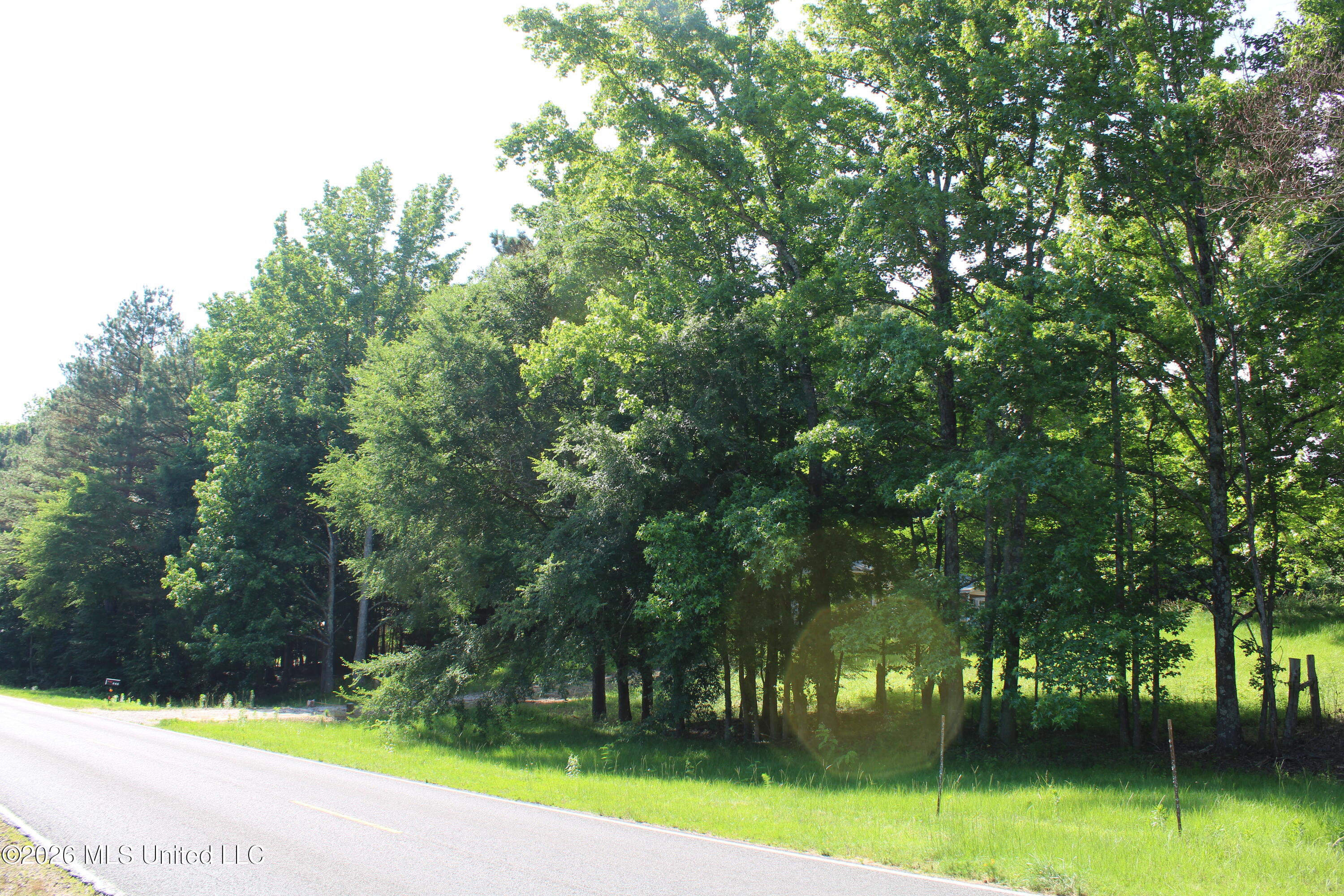 665 Briscoe Road Holly Springs, MS 38635 - Photo 3 of 18 IMG_7919