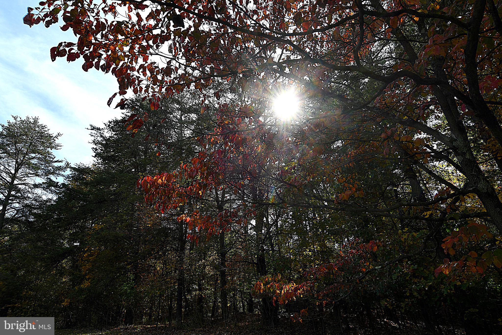 2497 Mountain Run Road Berkeley Springs, WV 25411 - Photo 48 of 67 Gallery Image 48